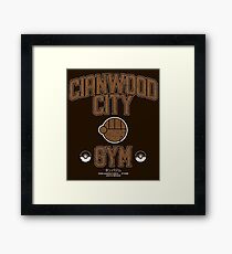 Cianwood City Gym Framed Print