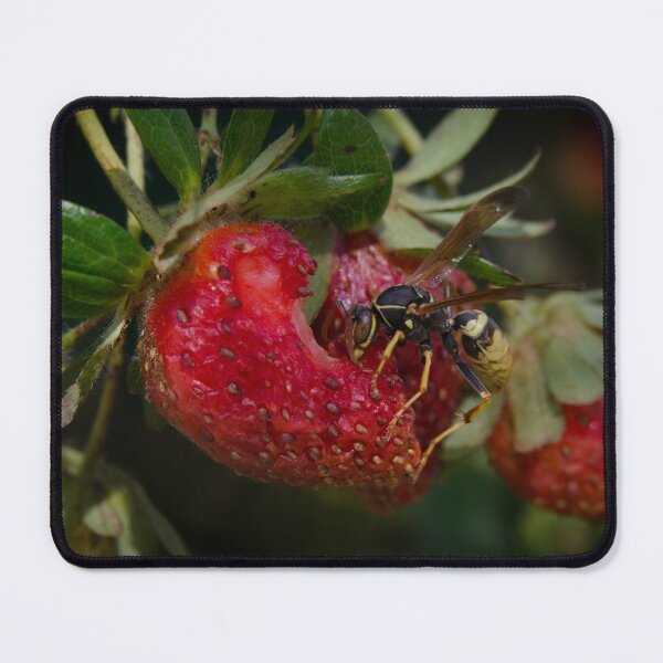 Item preview, Wasp and Strawberry designed and sold by Jeffrey Ralph.