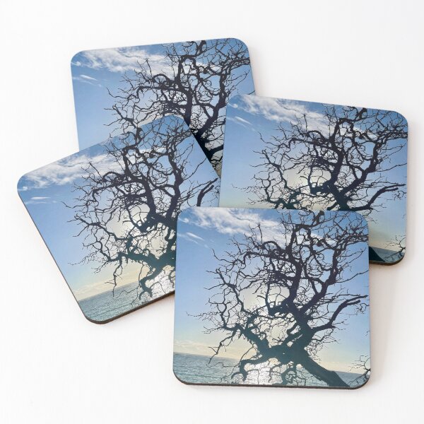 Item preview, Resilient Tree by the Sea designed and sold by TrisaThyme.