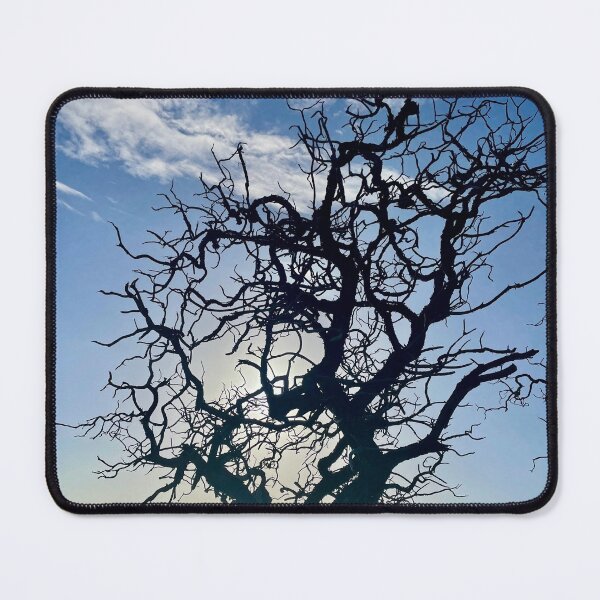 Item preview, Resilient Tree by the Sea designed and sold by TrisaThyme.