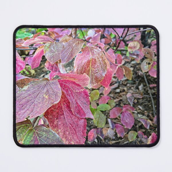 Item preview, Changing of the Seasons designed and sold by Betsy Phillips.