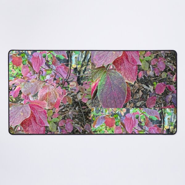 Item preview, Changing of the Seasons designed and sold by Betsy Phillips.