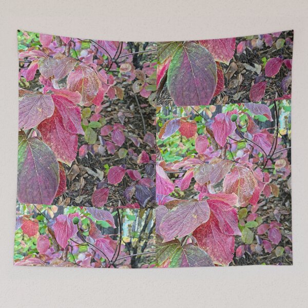 Item preview, Changing of the Seasons designed and sold by Betsy Phillips.