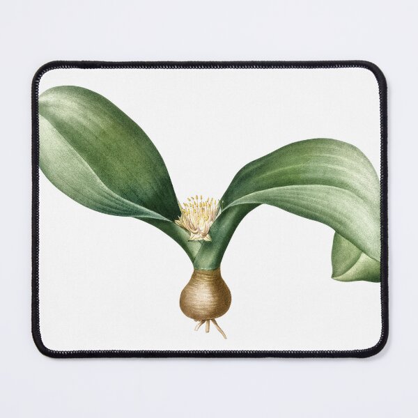 Item preview, Hedgehog lily designed and sold by AngyDesigns49.