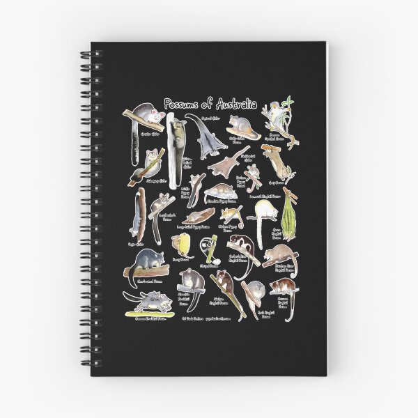 Item preview, Possums of Australia — Named Illustration Chart designed and sold by LuisSouzaDias.