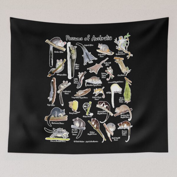 Item preview, Possums of Australia — Named Illustration Chart designed and sold by LuisSouzaDias.