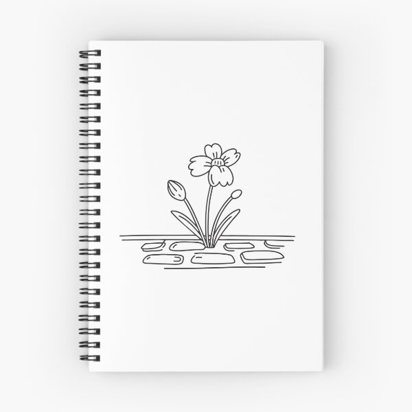 Item preview, A tickseed growing between paving stones in a yard designed and sold by rasagamastore.