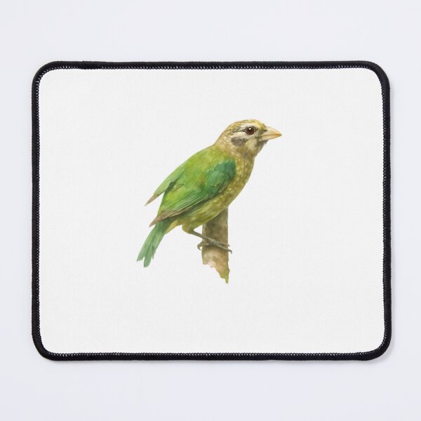Item preview, Spotted Catbird (Ailuroedus maculosus) designed and sold by HOMETOWN86.