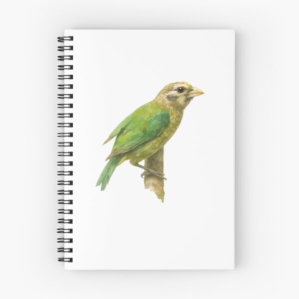 Item preview, Spotted Catbird (Ailuroedus maculosus) designed and sold by HOMETOWN86.