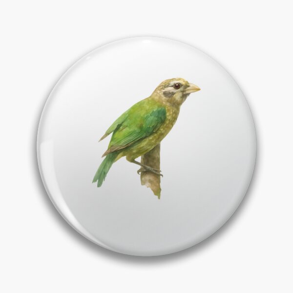 Item preview, Spotted Catbird (Ailuroedus maculosus) designed and sold by HOMETOWN86.