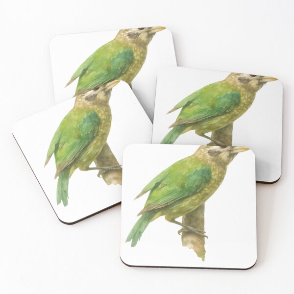 Item preview, Spotted Catbird (Ailuroedus maculosus) designed and sold by HOMETOWN86.
