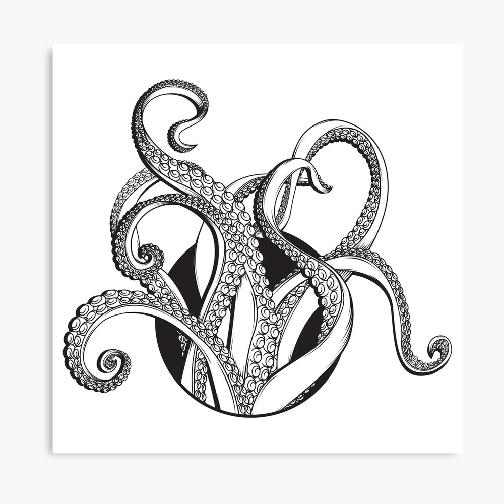 Octopus Tentacles Photographic Print By Natsmith1 Redbubble 1816 octopus tentacles 3d models. redbubble