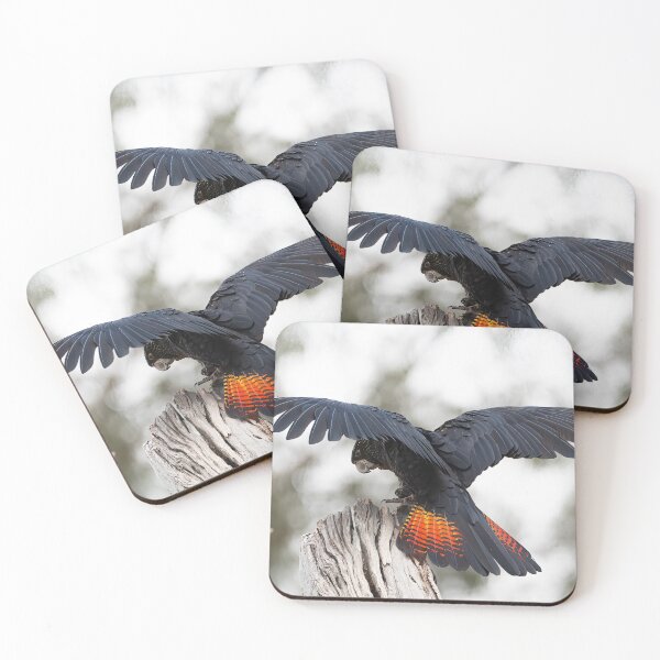 Item preview, Black cockatoo. Healesville Sanctuary, Victoria. designed and sold by PVphotography.