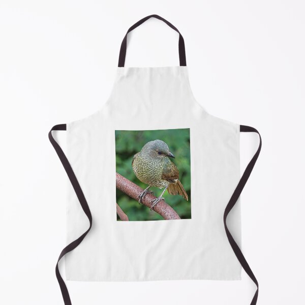Item preview, Satin bowerbird designed and sold by PVphotography.