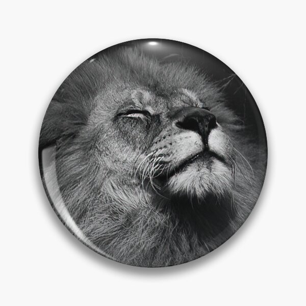 Item preview, Sleepy lion designed and sold by PVphotography.