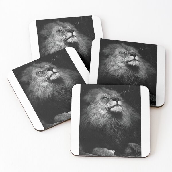 Item preview, Sleepy lion designed and sold by PVphotography.