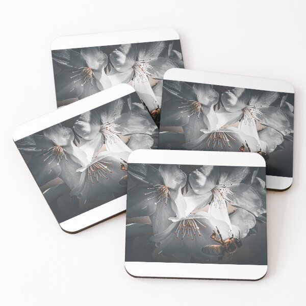 Item preview, Bee on blossom designed and sold by PVphotography.