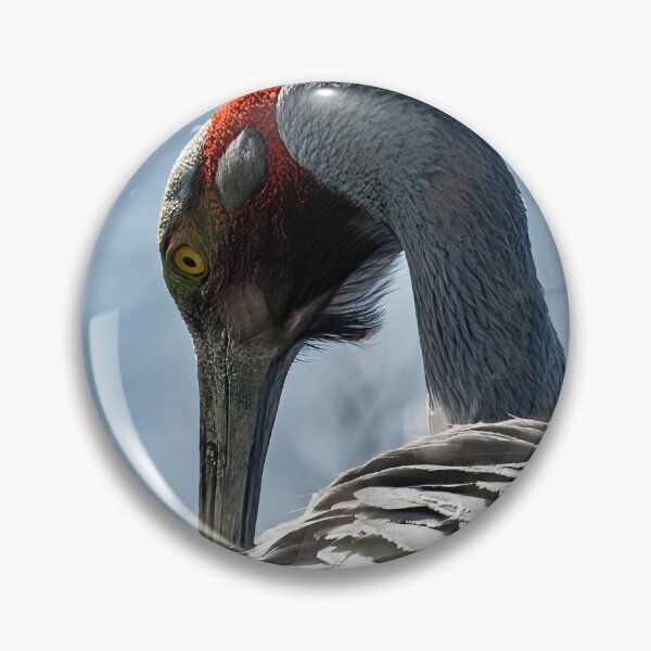 Item preview, Preening brolga. designed and sold by PVphotography.