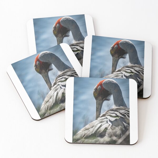 Item preview, Preening brolga. designed and sold by PVphotography.