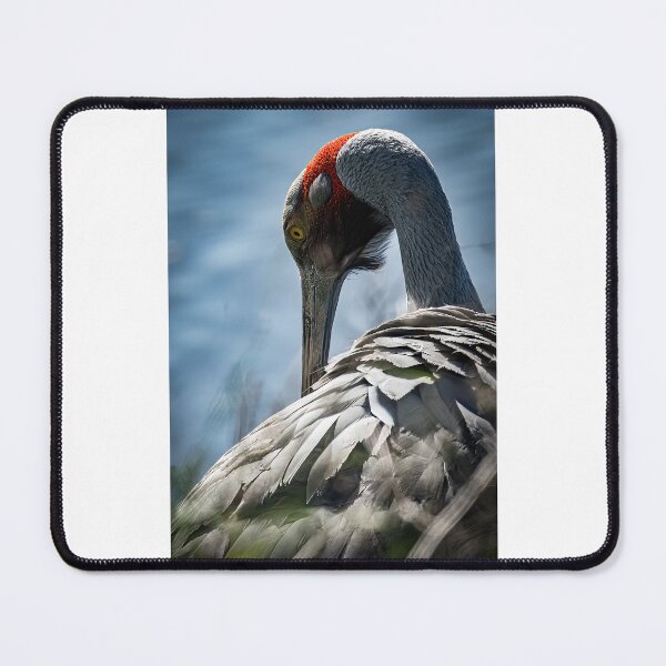 Item preview, Preening brolga. designed and sold by PVphotography.