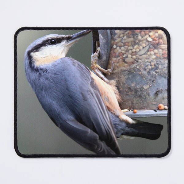 Item preview, nuthatch designed and sold by KathleenDawson.