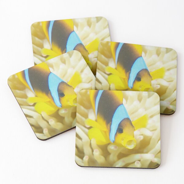 Item preview, O nemo fish designed and sold by Elep-uwp.