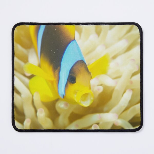 Item preview, O nemo fish designed and sold by Elep-uwp.