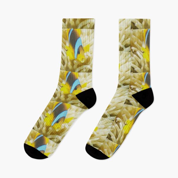 Item preview, O nemo fish designed and sold by Elep-uwp.