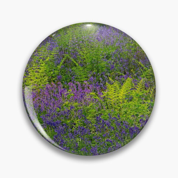 Item preview, Sunlight on Woodland Ferns and Bluebells designed and sold by Martyn R Arnold Fine Art Nature & Landscape Photography.