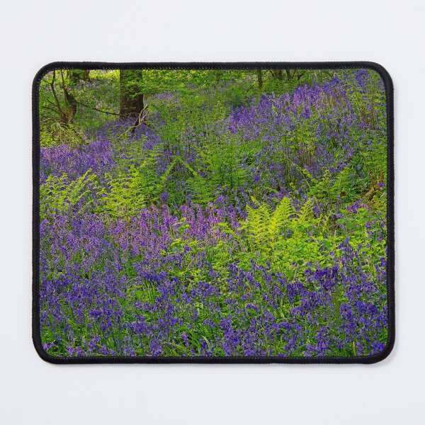 Item preview, Sunlight on Woodland Ferns and Bluebells designed and sold by Martyn R Arnold Fine Art Nature & Landscape Photography.
