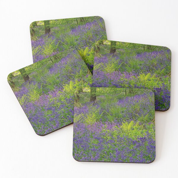 Item preview, Sunlight on Woodland Ferns and Bluebells designed and sold by Martyn R Arnold Fine Art Nature & Landscape Photography.