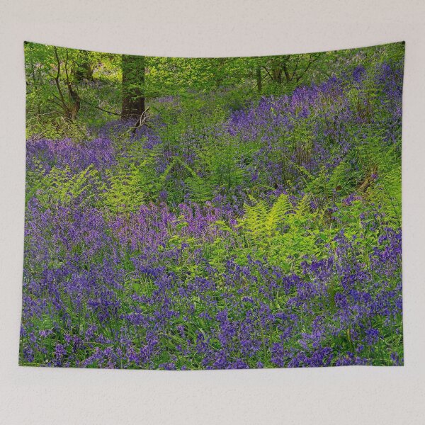 Item preview, Sunlight on Woodland Ferns and Bluebells designed and sold by Martyn R Arnold Fine Art Nature & Landscape Photography.