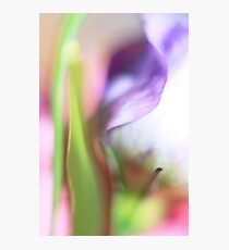 Watercolor Photographic Print
