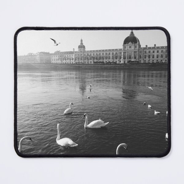 Item preview, Lyon City - Fine Art Photography in Black and White designed and sold by CarolinaReina.