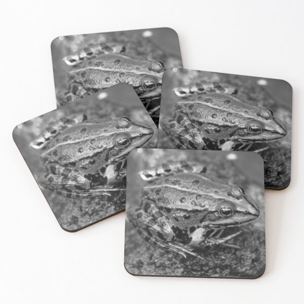 Item preview, Common Water Frog designed and sold by Marije Kouyzer.