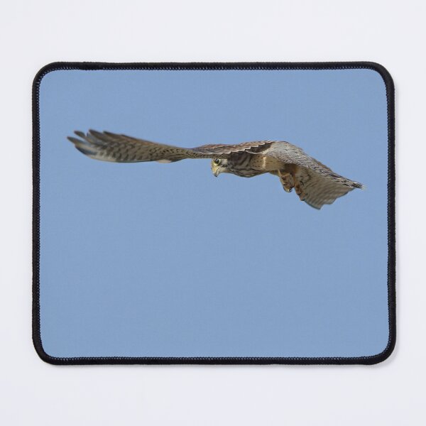 Item preview, Majestic Falcon designed and sold by T. Kaiser.