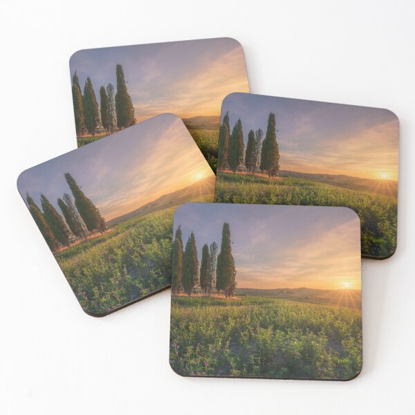 Item preview, Tuscan Cypress Grove at Sunset in Bibbona Countryside, Italy designed and sold by Stefano Orazzini.