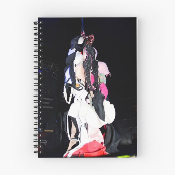 Item preview, Bras That Were Thrown On Stage - Photograph designed and sold by ConcertImages.
