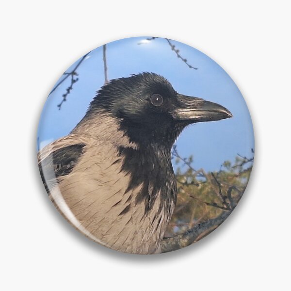 Item preview, Hooded Crows Perched on Tree in Winter designed and sold by Taina Sohlman.