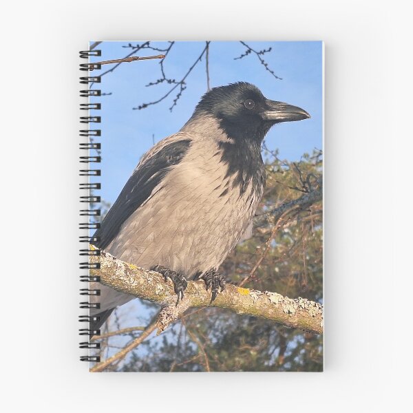 Item preview, Hooded Crows Perched on Tree in Winter designed and sold by Taina Sohlman.