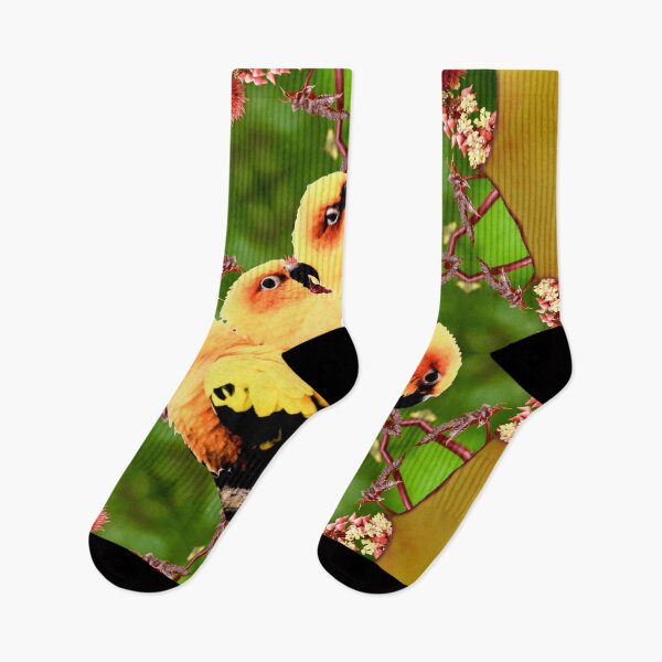 Item preview, Parrot Family Roses / Swiss Artwork Photography designed and sold by Raphael Wolf.