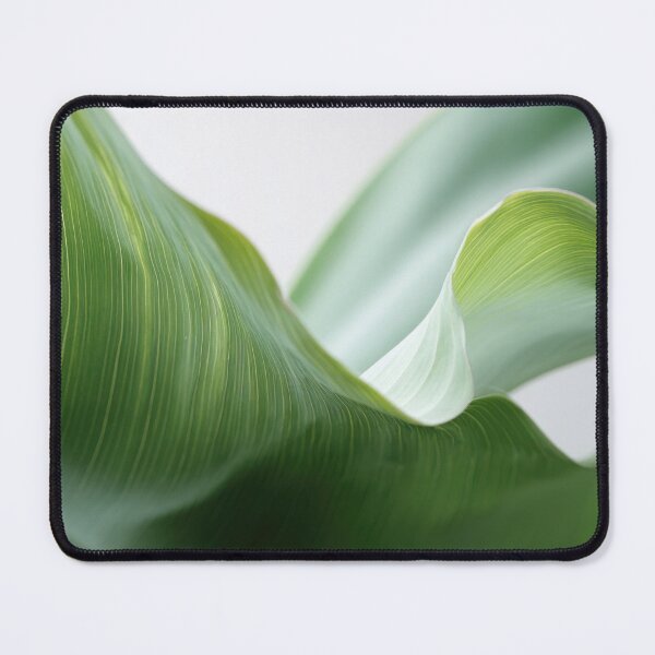 Item preview, Curved edge green leaf close-up designed and sold by anytka.