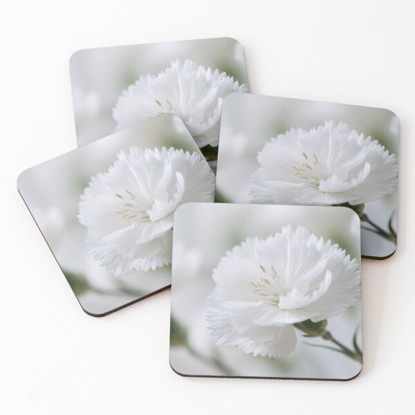 Item preview, White flowers bloom in soft light designed and sold by anytka.