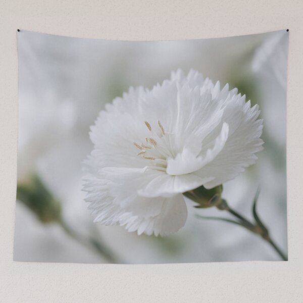 Item preview, White flowers bloom in soft light designed and sold by anytka.