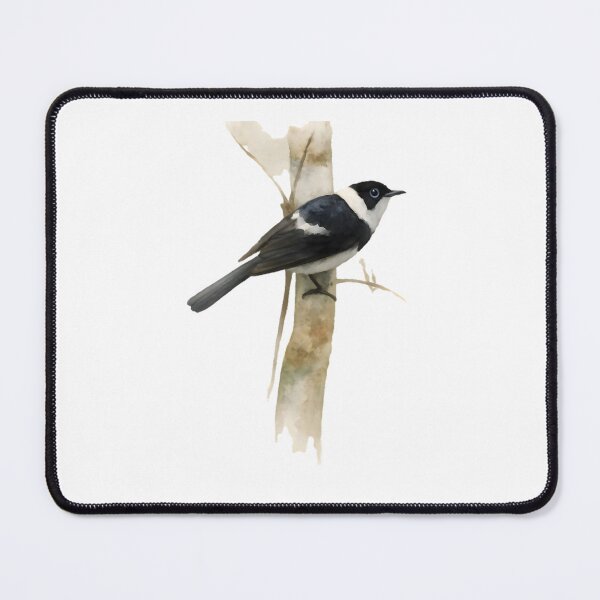 Item preview, Pied Monarch (Arses kaupi) designed and sold by HOMETOWN86.