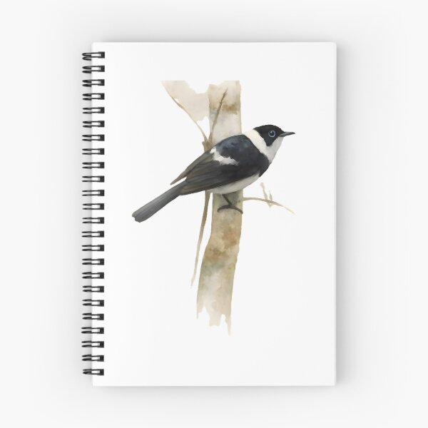 Item preview, Pied Monarch (Arses kaupi) designed and sold by HOMETOWN86.