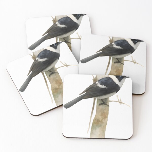 Item preview, Pied Monarch (Arses kaupi) designed and sold by HOMETOWN86.