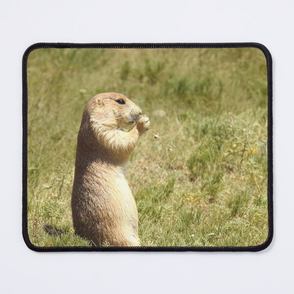 Item preview, Prairie Dog Morning Breakfast designed and sold by Bri-1.