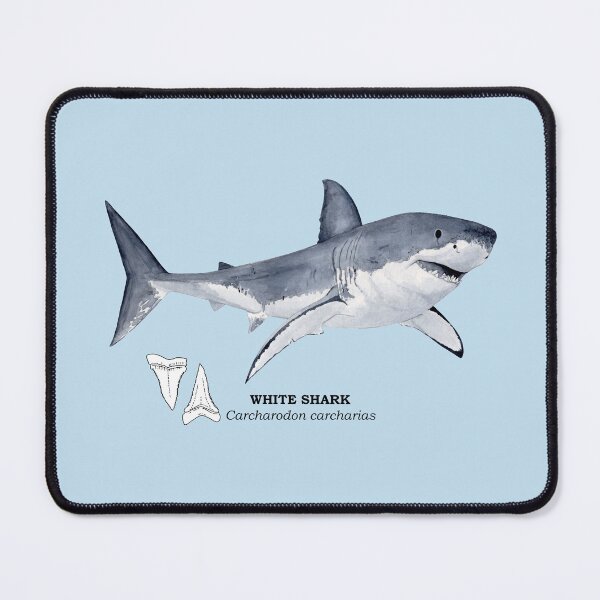 Item preview, WHITE SHARK-Carcharodon carcharias (name and teeth) designed and sold by BEATRIZ ABAITUA.