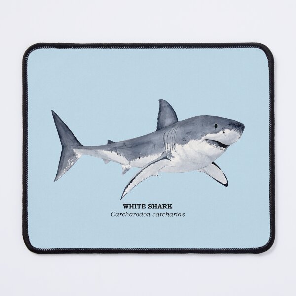 Item preview, WHITE SHARK-Carcharodon carcharias (name) designed and sold by BEATRIZ ABAITUA.